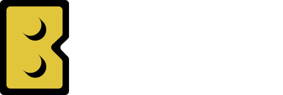BrickBudget